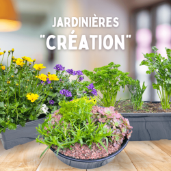 Jardinières "Création" (3...